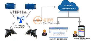 物聯(lián)網(wǎng)有哪些讓你震驚的有趣應(yīng)用