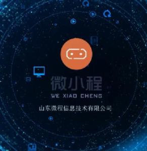 山東微程信息技術