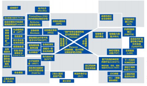 生物技術與信息技術融合 數字化生命科學的革命性變革